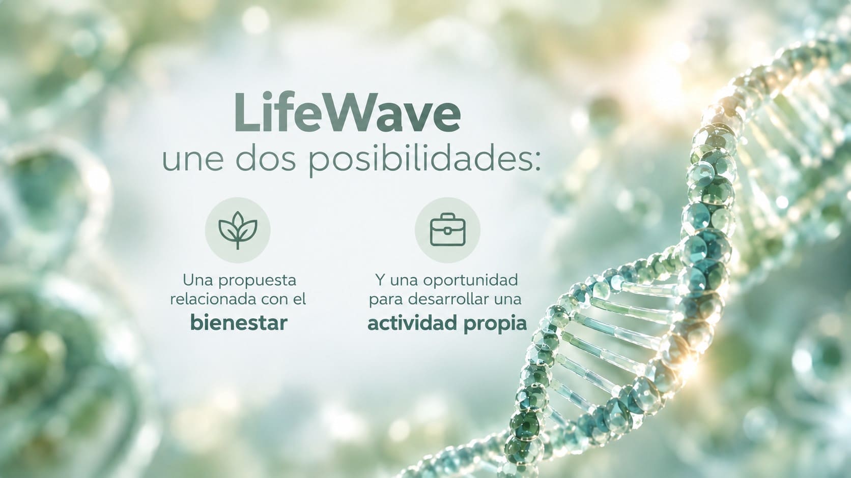 Lifewave : salud + negocio